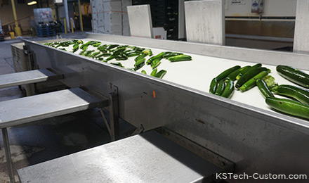 sorting conveyor - produce - vegetable washer