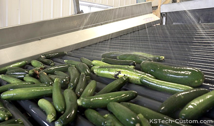 produce washer - zucchini enter washer